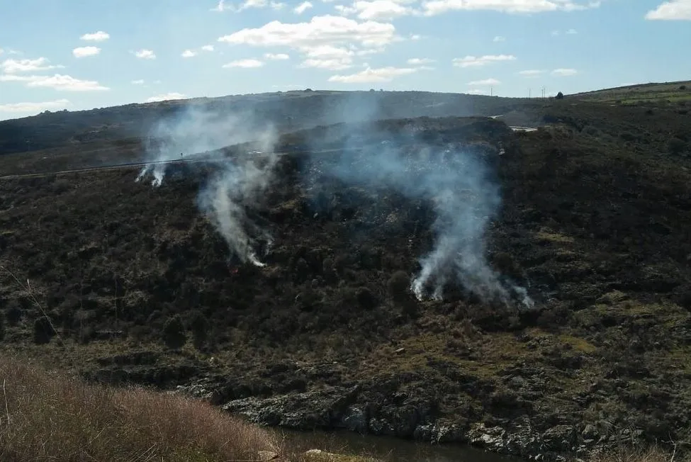 Foto 4 - Un incendio se queda a las puertas de los grabados Patrimonio de la Humanidad de Siega Verde  