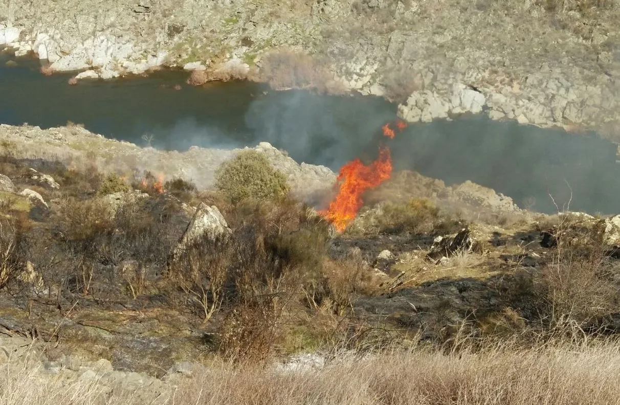 Foto 2 - Un incendio se queda a las puertas de los grabados Patrimonio de la Humanidad de Siega Verde  