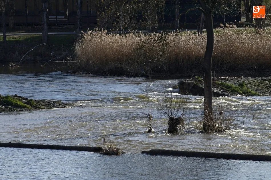 Foto 9 - El fuerte caudal del Tormes rompe la pesquera del puente romano  