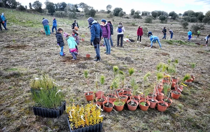 Foto 4 - Juzbado celebra el D&iacute;a de los Bosques con la plantaci&oacute;n de 150 &aacute;rboles