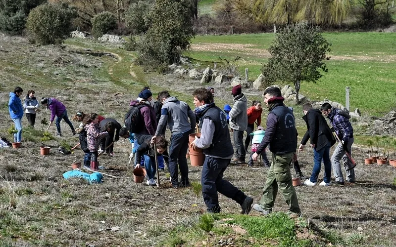 Foto 3 - Juzbado celebra el D&iacute;a de los Bosques con la plantaci&oacute;n de 150 &aacute;rboles