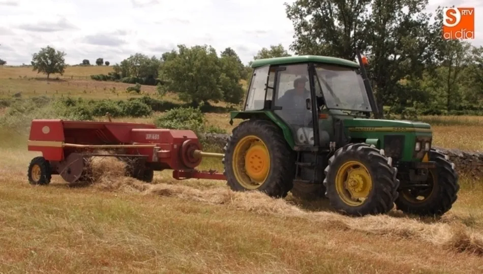 Mínima subida de los planes destinados a empleos agrarios