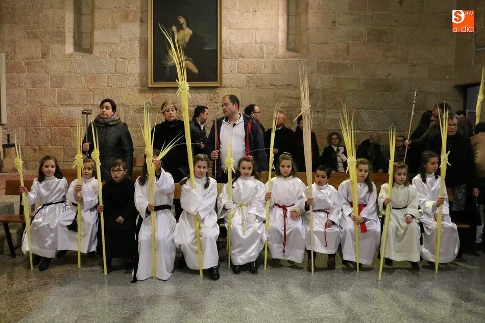 Foto 11 - La procesi&oacute;n del Domingo de Ramos gana fieles en Vitigudino  