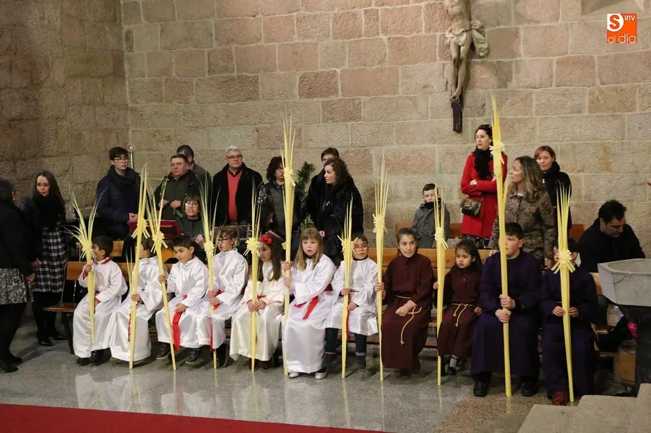 Foto 5 - La procesi&oacute;n del Domingo de Ramos gana fieles en Vitigudino  