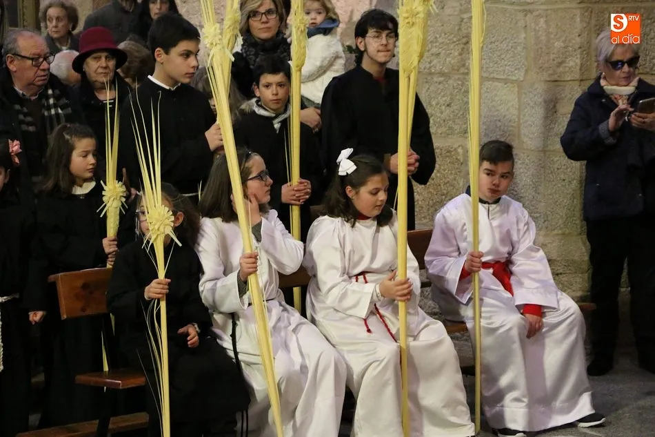 Foto 4 - La procesi&oacute;n del Domingo de Ramos gana fieles en Vitigudino  
