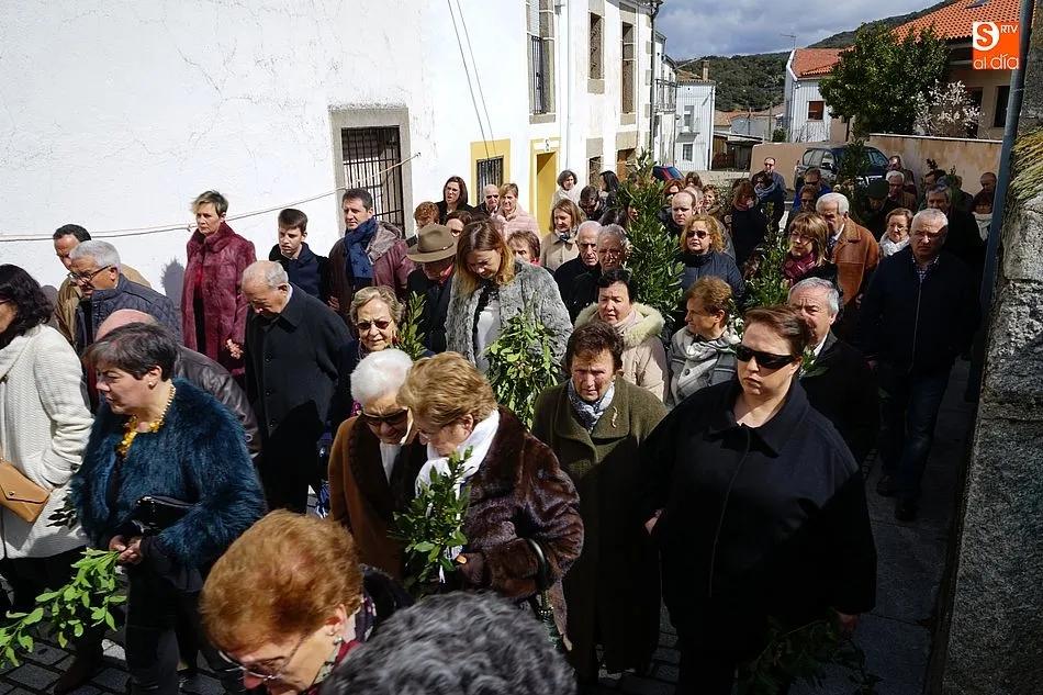 Foto 5 - Los fieles demuestran su devoci&oacute;n en el Domingo de Ramos