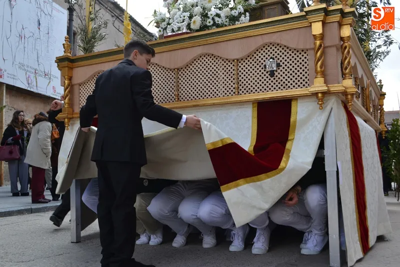 Foto 6 - Palmas y laurel arropan a la Borriquilla en su paseo triunfal durante el Domingo de Ramos