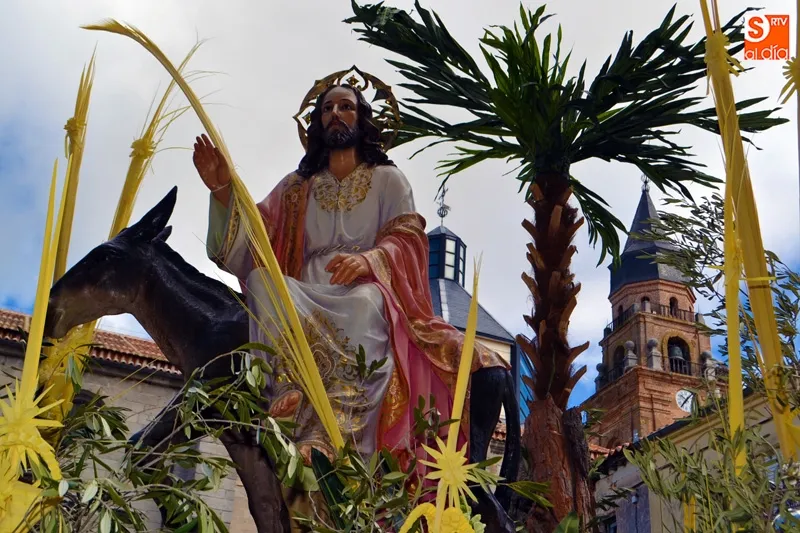 Foto 5 - Palmas y laurel arropan a la Borriquilla en su paseo triunfal durante el Domingo de Ramos