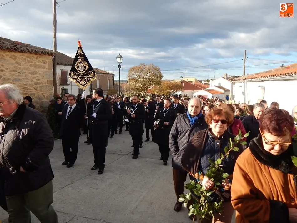 Foto 11 - Palmas y ramos de la&uacute;rel al paso de La Borriquilla en Ledesma