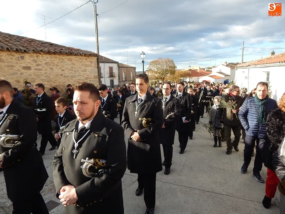 Foto 9 - Palmas y ramos de la&uacute;rel al paso de La Borriquilla en Ledesma