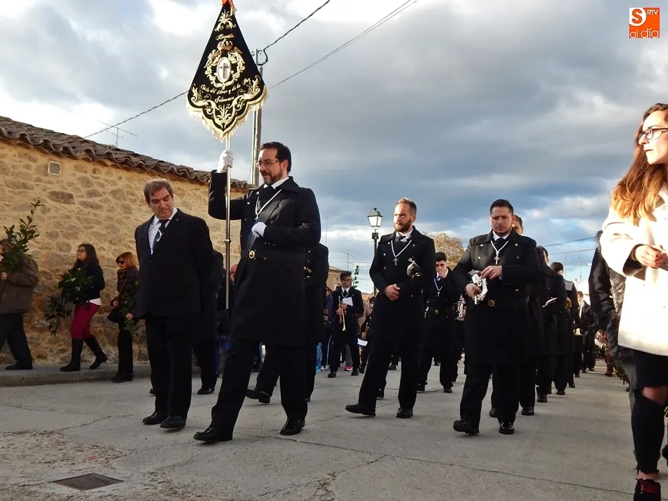 Foto 10 - Palmas y ramos de la&uacute;rel al paso de La Borriquilla en Ledesma
