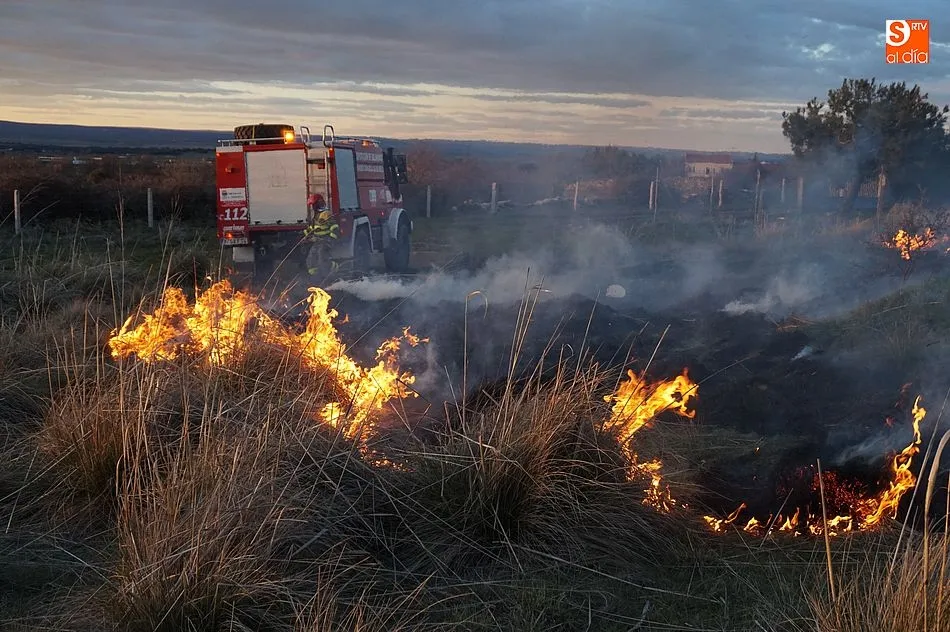 Foto 9 - Los bomberos extinguen un peque&ntilde;o incendio a las afueras de la villa