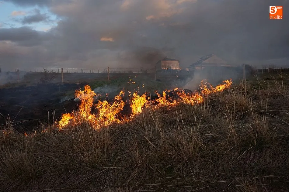 Foto 8 - Los bomberos extinguen un peque&ntilde;o incendio a las afueras de la villa