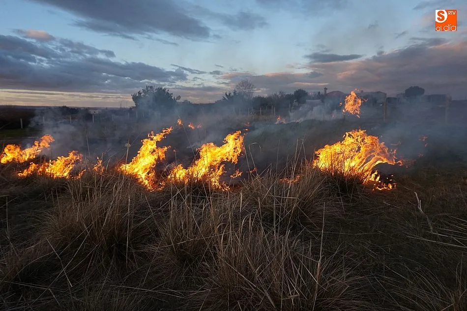 Foto 6 - Los bomberos extinguen un peque&ntilde;o incendio a las afueras de la villa