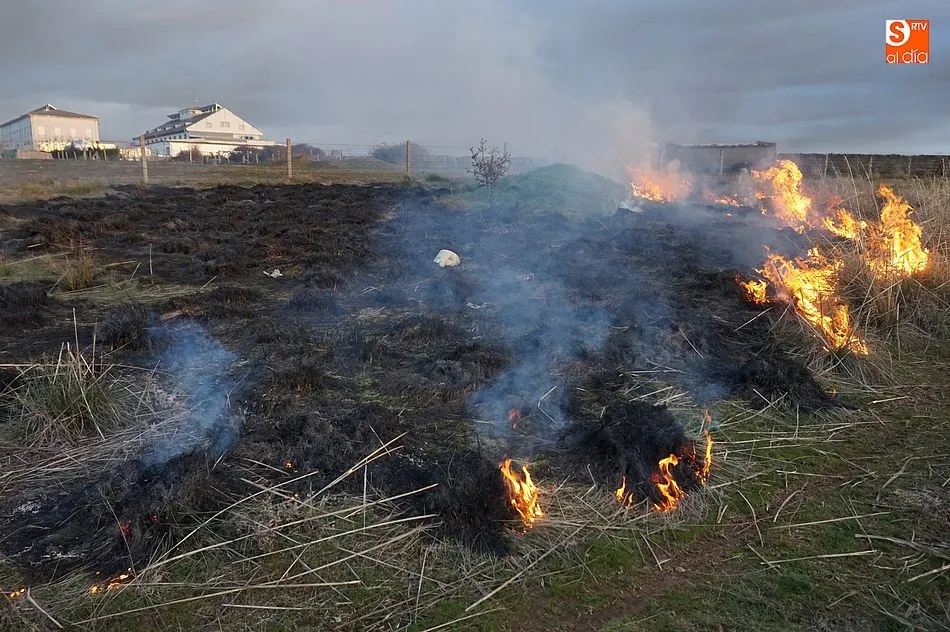 Foto 4 - Los bomberos extinguen un peque&ntilde;o incendio a las afueras de la villa