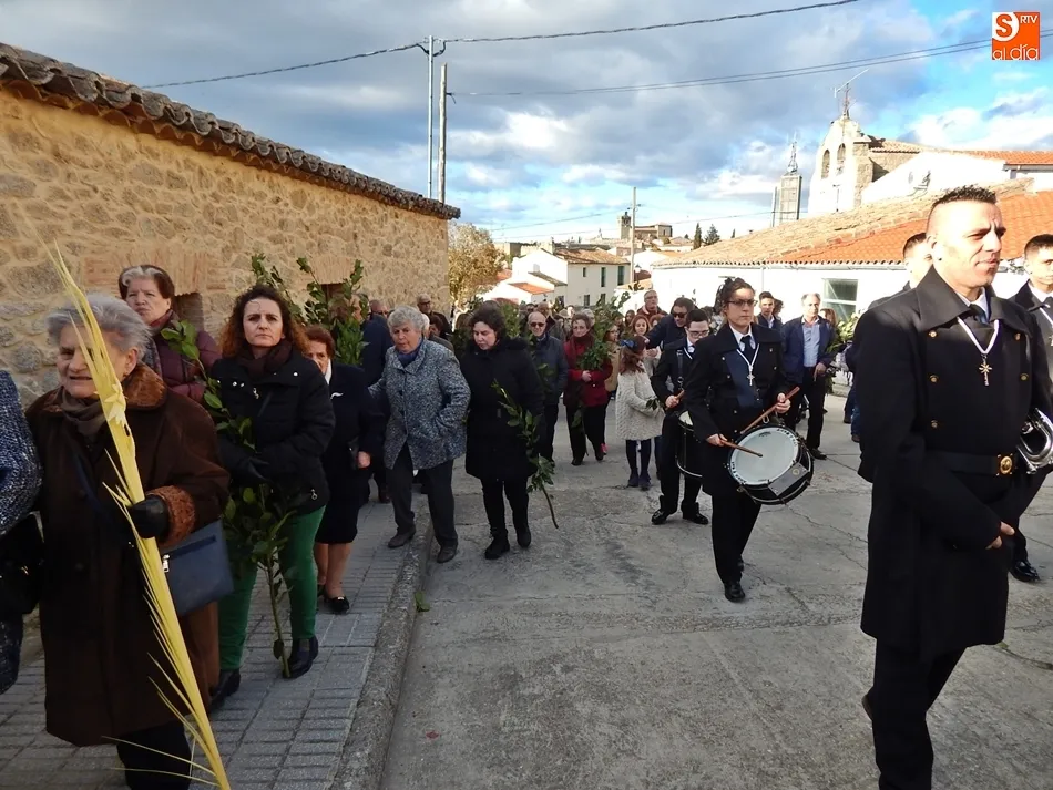 Foto 7 - Palmas y ramos de la&uacute;rel al paso de La Borriquilla en Ledesma
