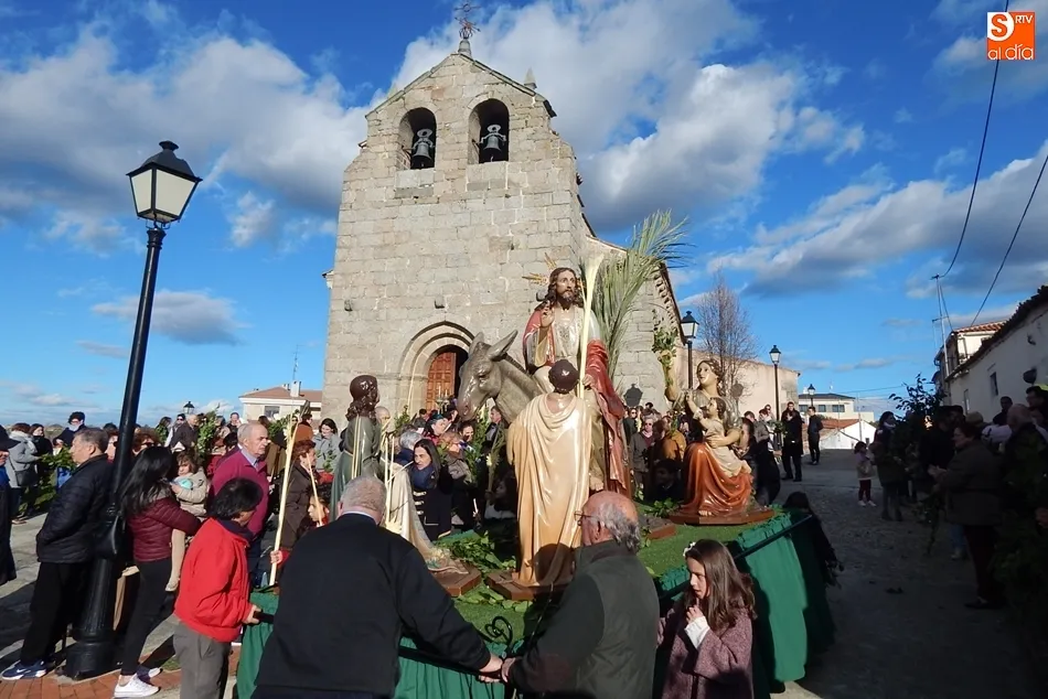 Foto 5 - Palmas y ramos de la&uacute;rel al paso de La Borriquilla en Ledesma