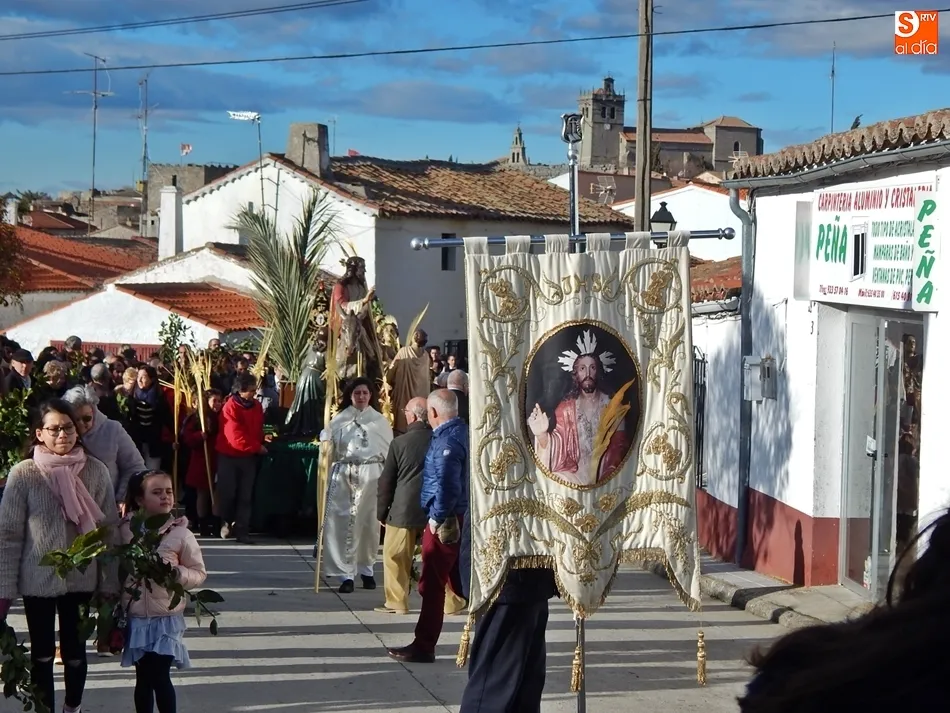 Foto 4 - Palmas y ramos de la&uacute;rel al paso de La Borriquilla en Ledesma