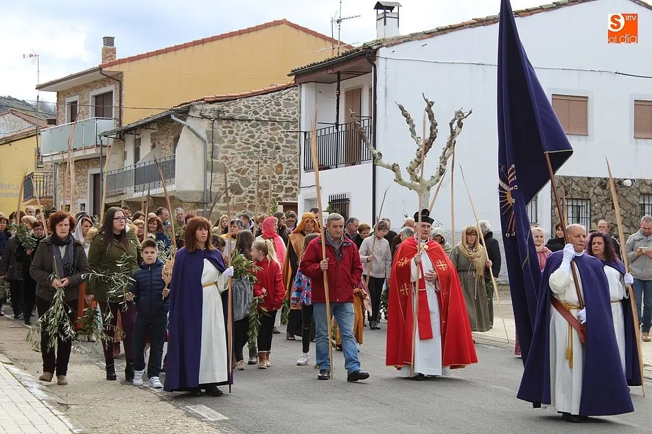 Foto 4 - Los fieles arropan a los cofrades en la procesi&oacute;n de La Borriquilla&nbsp;