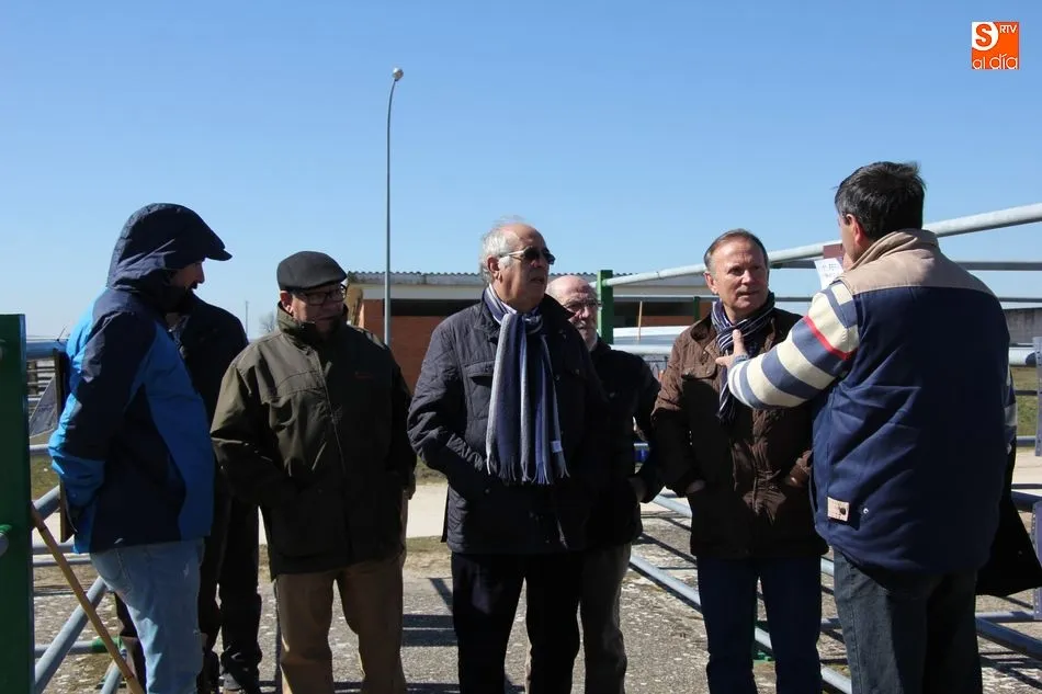 Foto 6 - Pocos ejemplares de bovino y ovino, y ganaderos, en la feria de la Pascuilla  