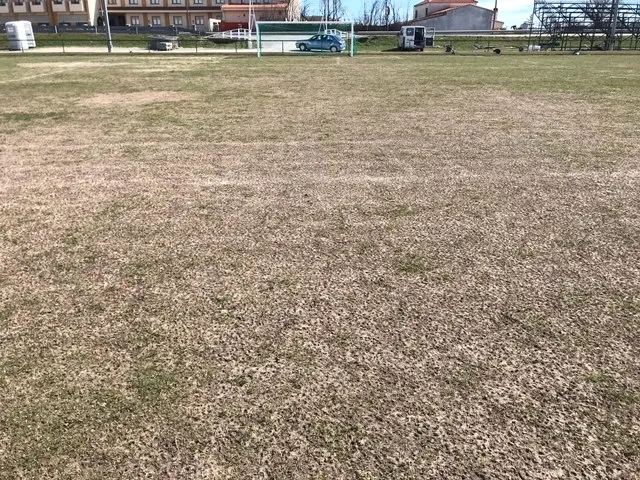 Foto 6 - La Tour Cup se jugar&aacute; en el campo de f&uacute;tbol antiguo de la Dehesa
