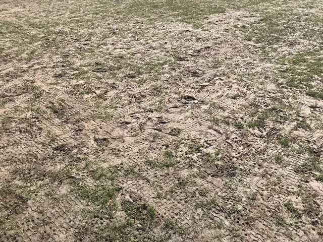 Foto 5 - La Tour Cup se jugar&aacute; en el campo de f&uacute;tbol antiguo de la Dehesa