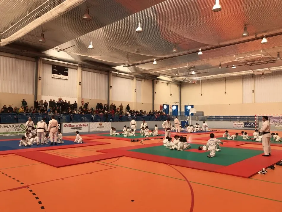 Foto 2 - Resultados de las jornadas de Judo efectuadas este fin de semana    &nbsp;  