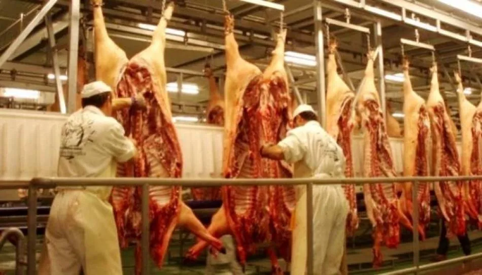 El año comienza con un importante aumento de las ventas al exterior