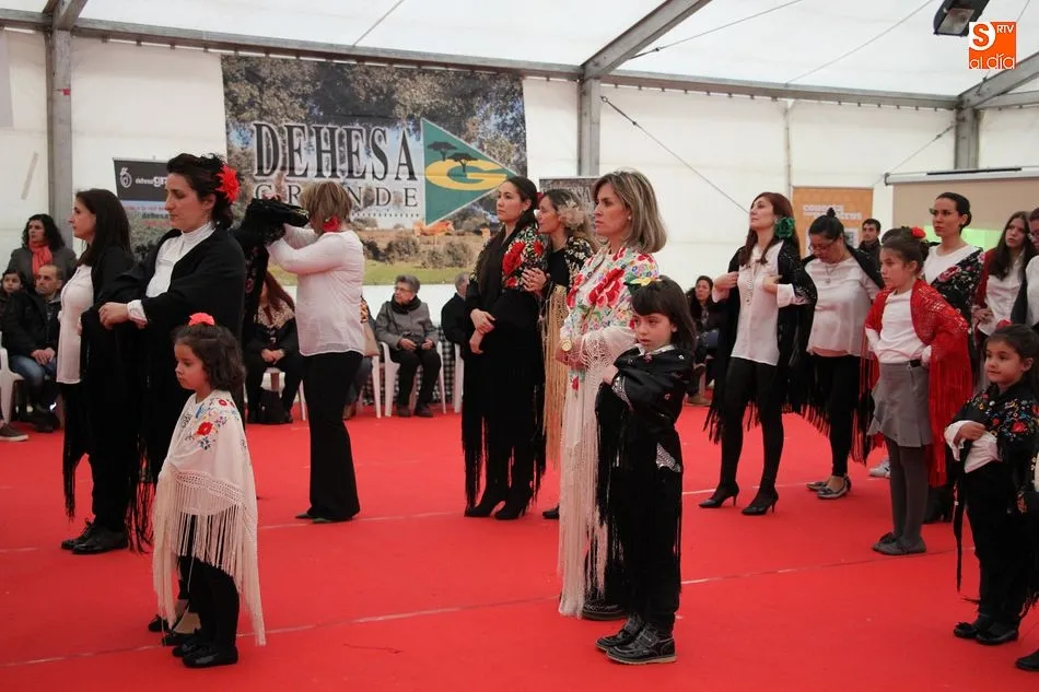 Foto 10 - El desfile de mantones pone m&aacute;s colorido a la Feria Agroalimentaria  