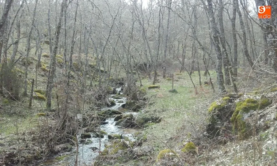 Foto 6 - De paseo por el r&iacute;o Las Uces, un paisaje por descubrir  