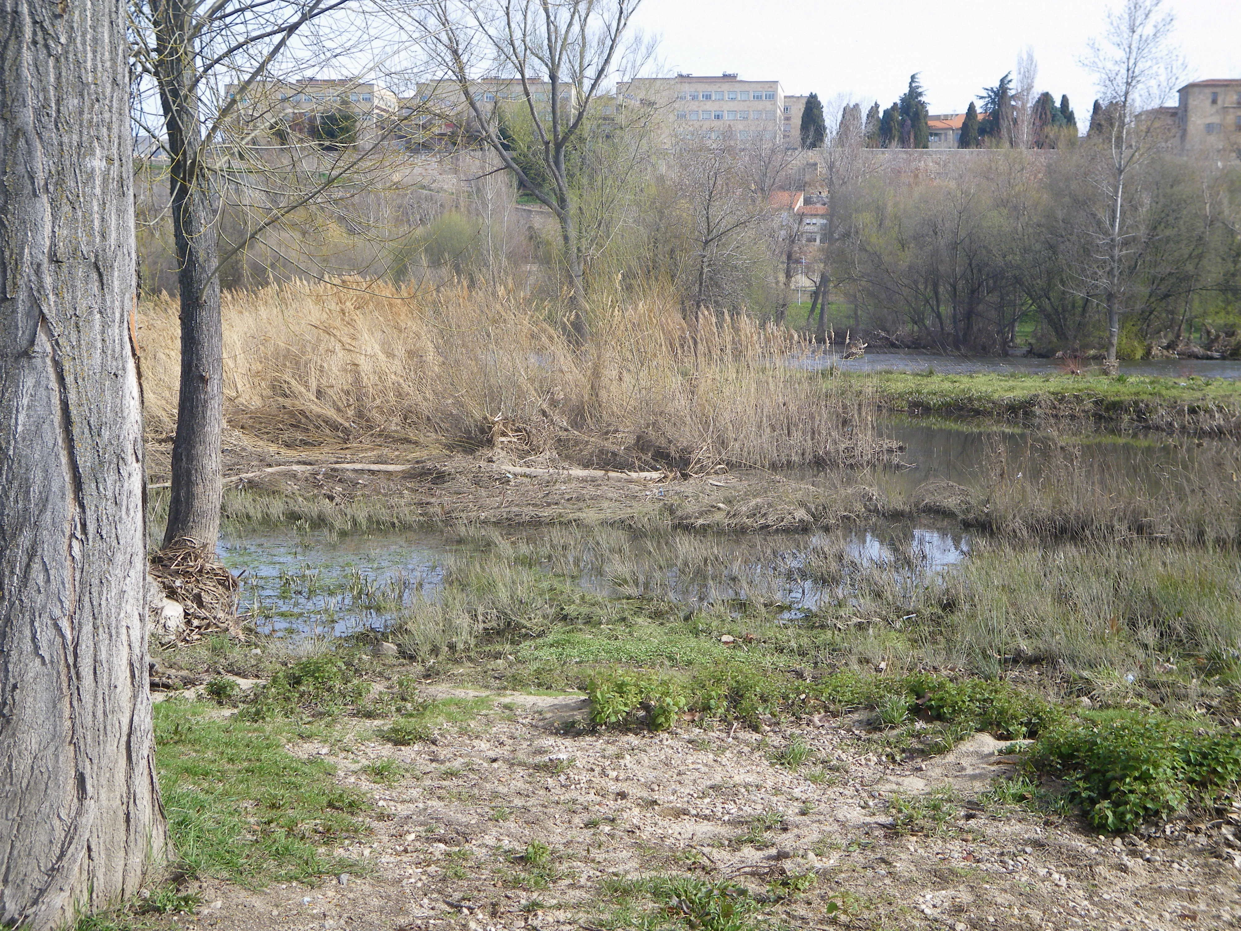 Foto 2 - Un paseo por el r&iacute;o, nuestra ciudad, nuestros barrios.