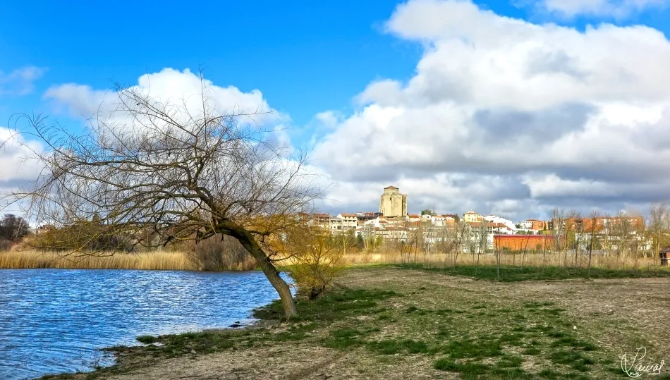 La dependencia del agua
