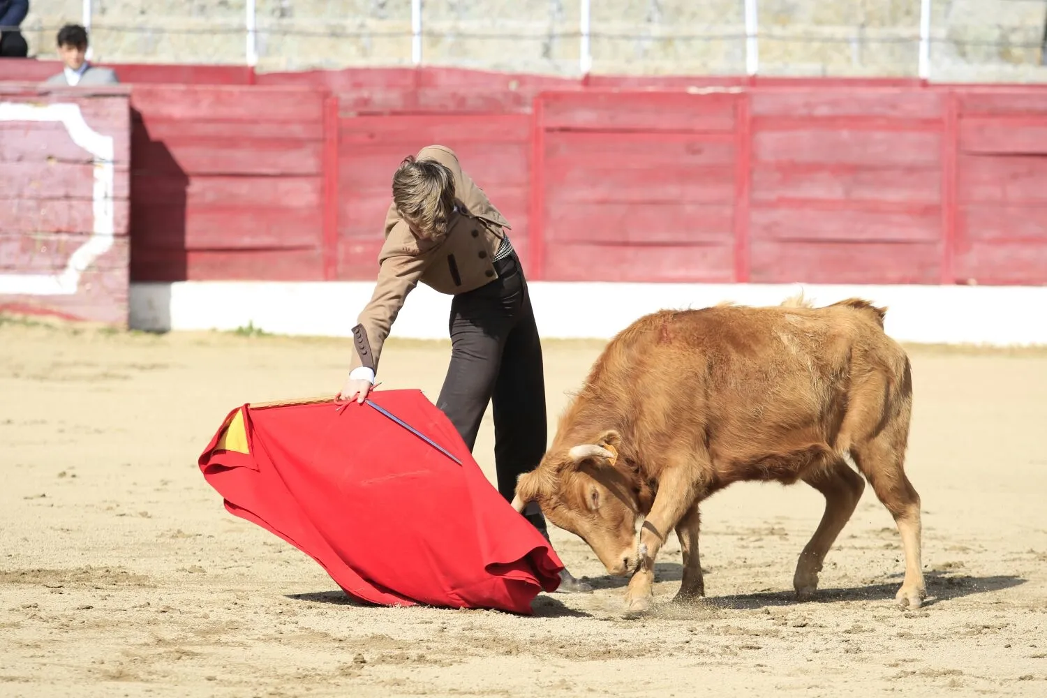 Foto 11 - &lsquo;Parrita&rsquo; gana el XIV Certamen Taurino de Ledesma 'Rosquilla de Oro'&nbsp;  