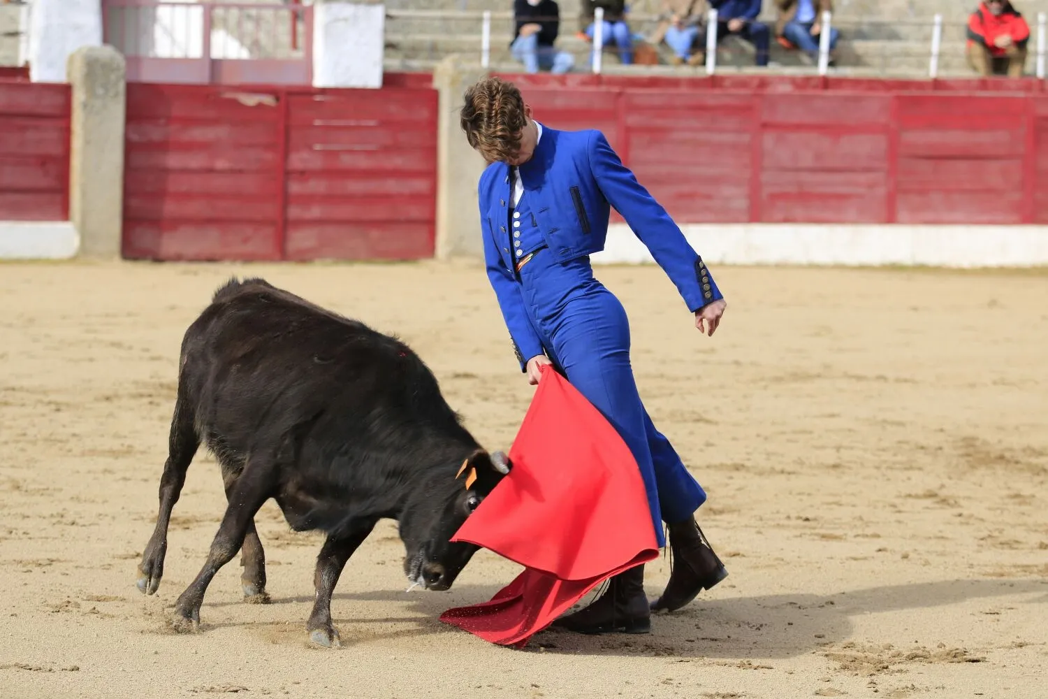 Foto 10 - &lsquo;Parrita&rsquo; gana el XIV Certamen Taurino de Ledesma 'Rosquilla de Oro'&nbsp;  