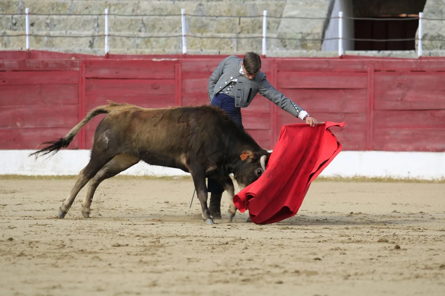 Foto 7 - &lsquo;Parrita&rsquo; gana el XIV Certamen Taurino de Ledesma 'Rosquilla de Oro'&nbsp;  