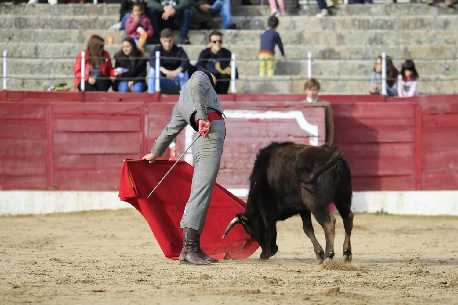 Foto 6 - &lsquo;Parrita&rsquo; gana el XIV Certamen Taurino de Ledesma 'Rosquilla de Oro'&nbsp;  