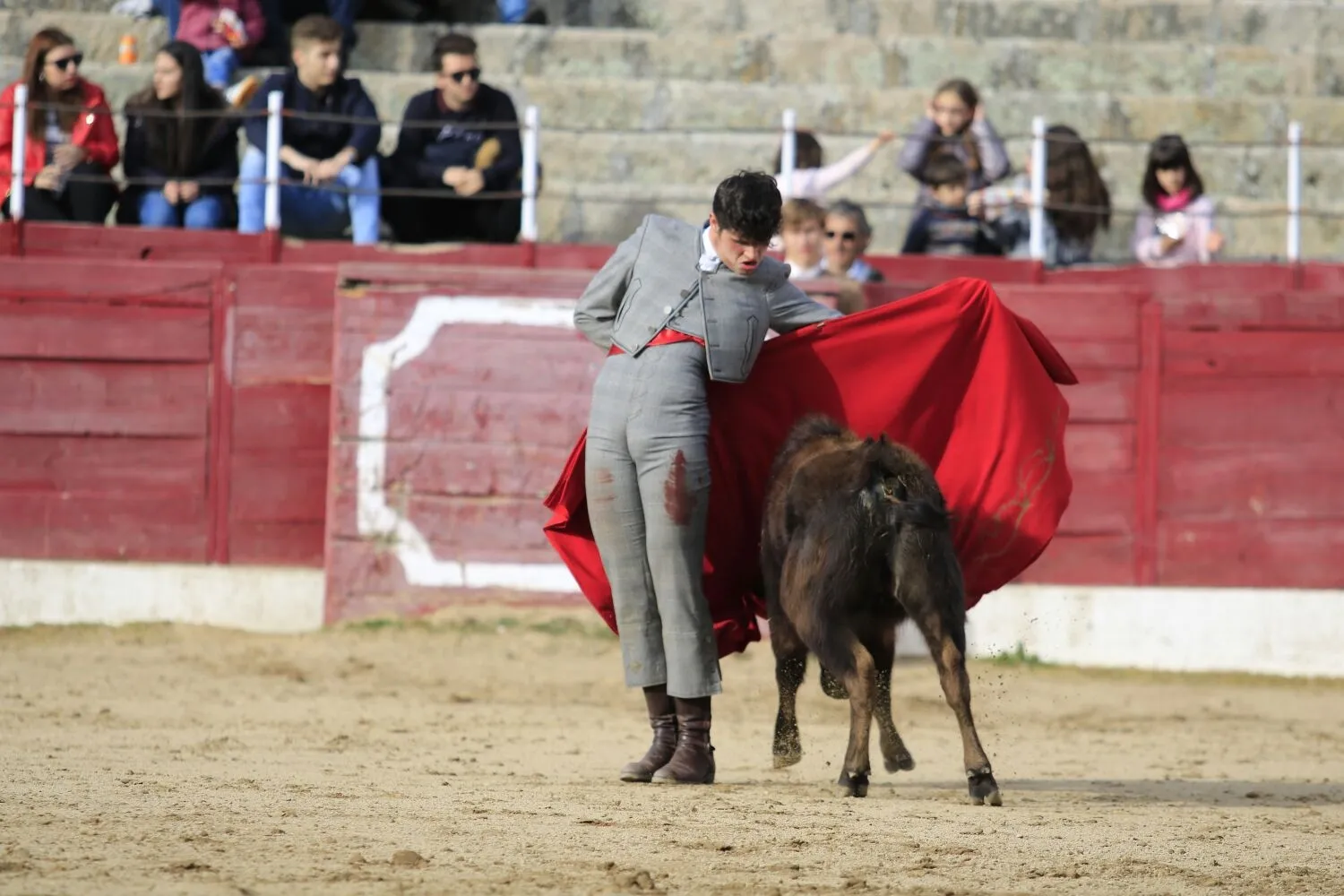 Foto 2 - &lsquo;Parrita&rsquo; gana el XIV Certamen Taurino de Ledesma 'Rosquilla de Oro'&nbsp;  