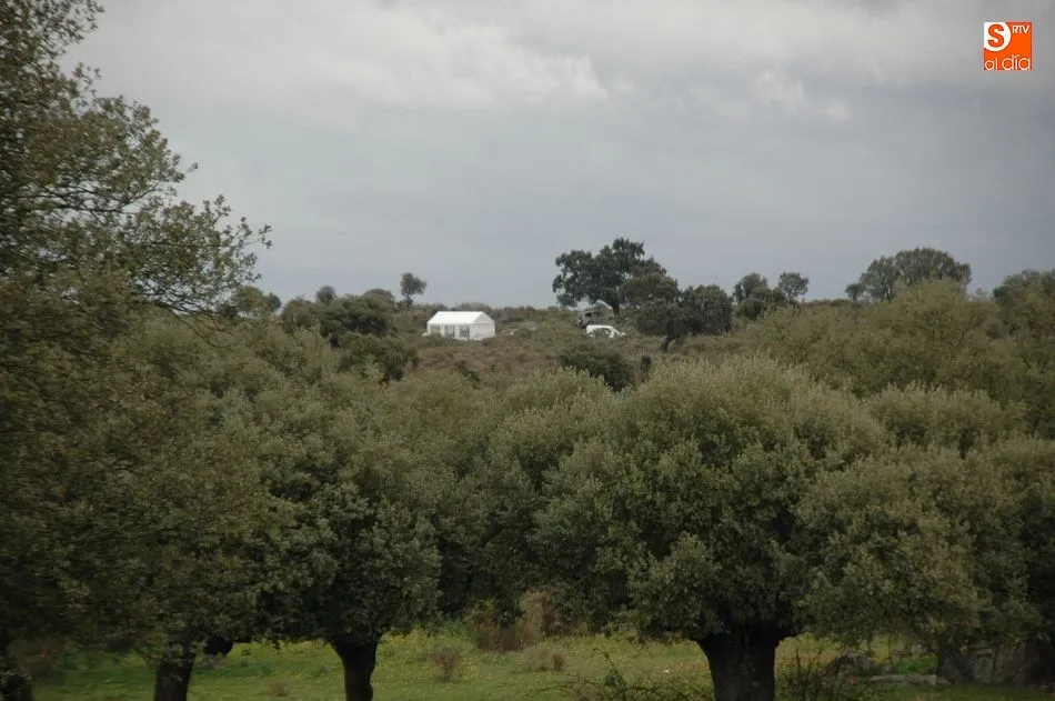 Foto 2 - En Hinojosa de Duero celebran el Lunes de Pascua con la mejor mesa