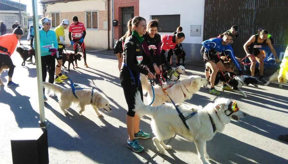 Los fondos recaudados irán destinados a la Asociación Protectora de Animales PeludoSOS
