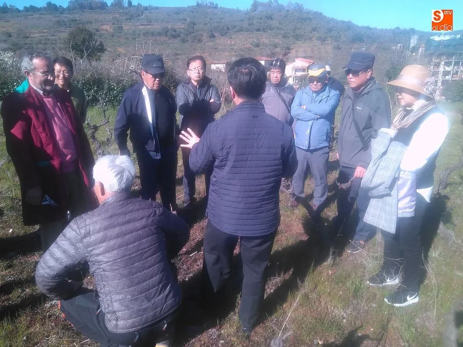 Foto 3 - Corea del Sur se interesa por la Ruta del Vino de la Sierra de Francia