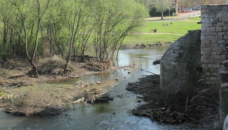 Foto 2 - Ciudadanos por la Defensa del Patrimonio pide agilidad en las actuaciones en el R&iacute;o Tormes