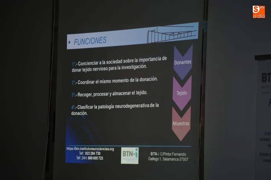 Foto 10 - AFA colabora con el INCYL para dar a conocer la importancia de la donaci&oacute;n de cerebros  