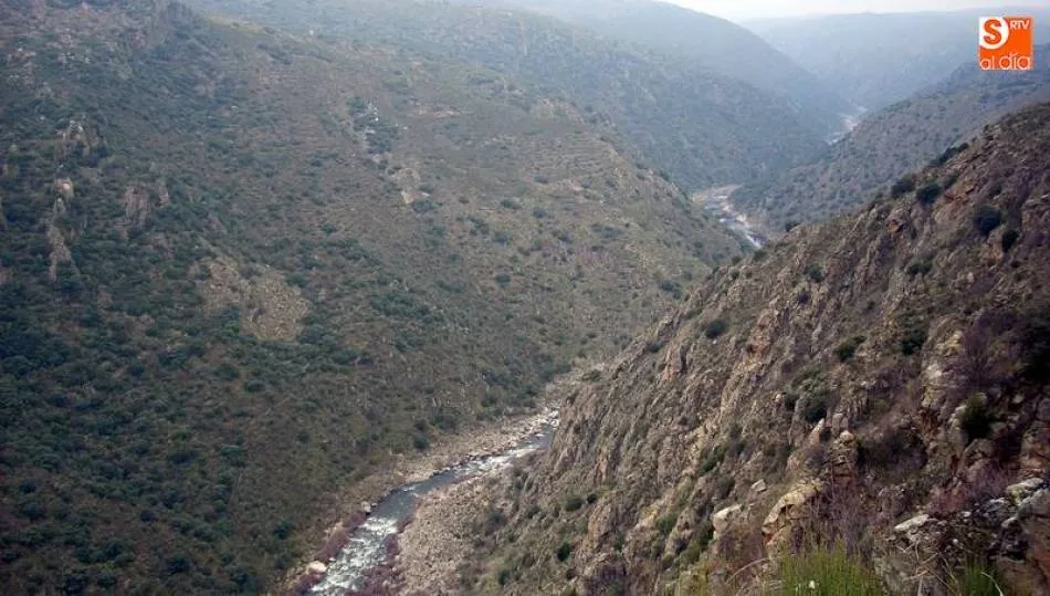Foto 3 - La II Ruta de senderismo de Sobradillo ya tiene fecha  