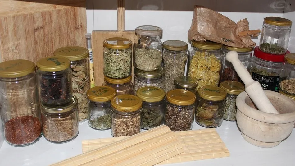 Las plantas medicinales se han venido usando desde la más remota antigüedad