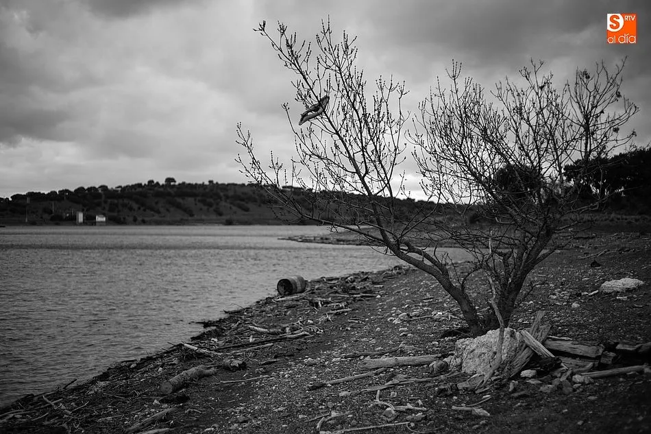 Foto 4 - La ribera del tiempo