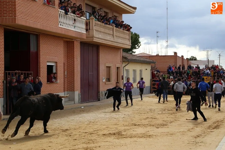 Foto 5 - La lluvia desluce el IV Toro del Voto