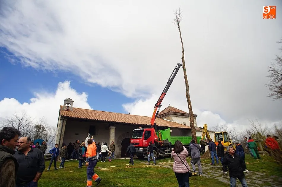 La Picota de los Quintos se alza un año más frente a la ermita de Los Santos