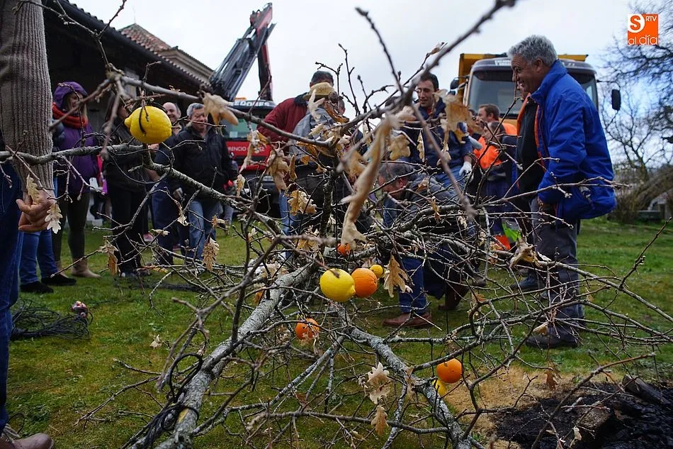 Foto 4 - La tradicional picota se alza ante los quintos