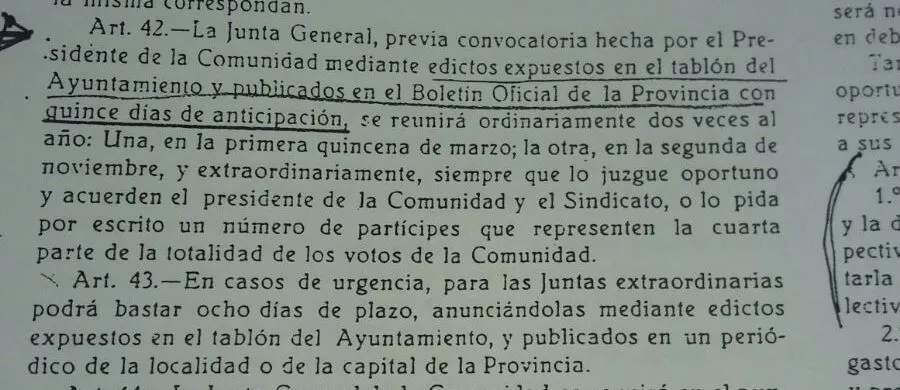 Extracto de los Estatutos donde se mencionan los plazos de convocatoria