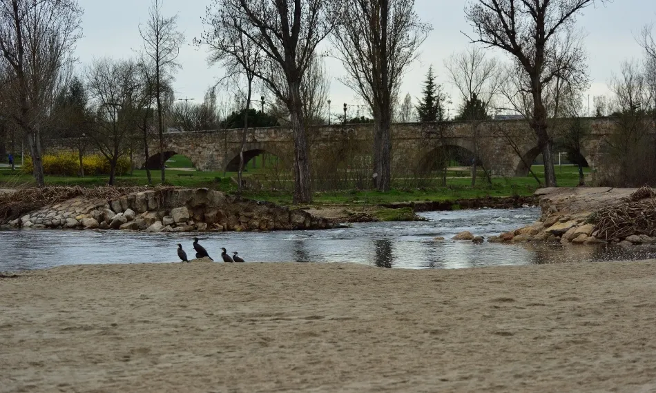 Foto 4 - Secarral en el Tormes